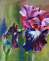 Malerei: Vorschaubild Iris.